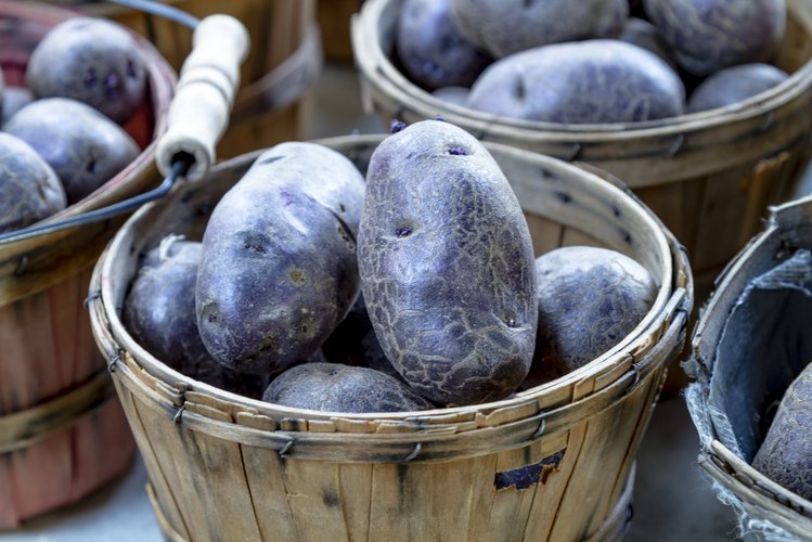 Zdjęcie Fioletowe ziemniaki? Zobacz dlaczego warto po nie sięgnąć #1
