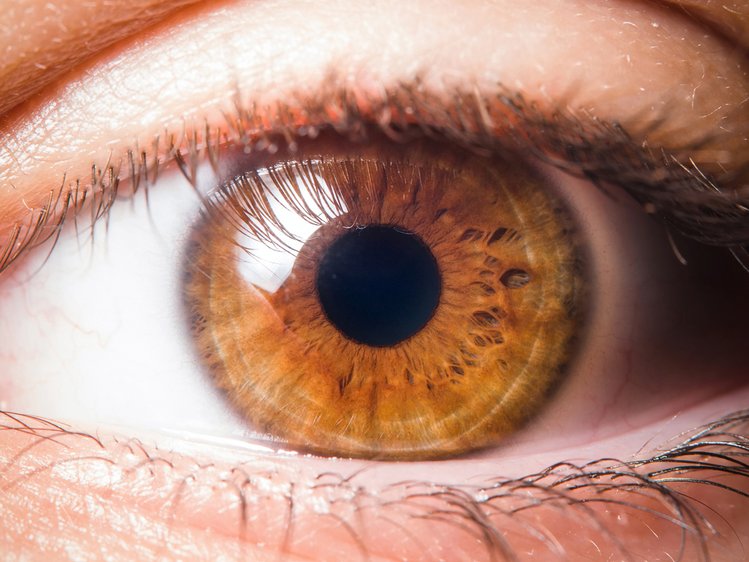 Zdjęcie Znasz kogoś o brązowych oczach? Sprawdź, jakie cechy się za nimi kryją #3