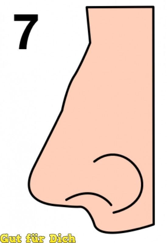 Zdjęcie Jaki jest kształt twojego nosa? To wiele mówi o twojej osobowości #6