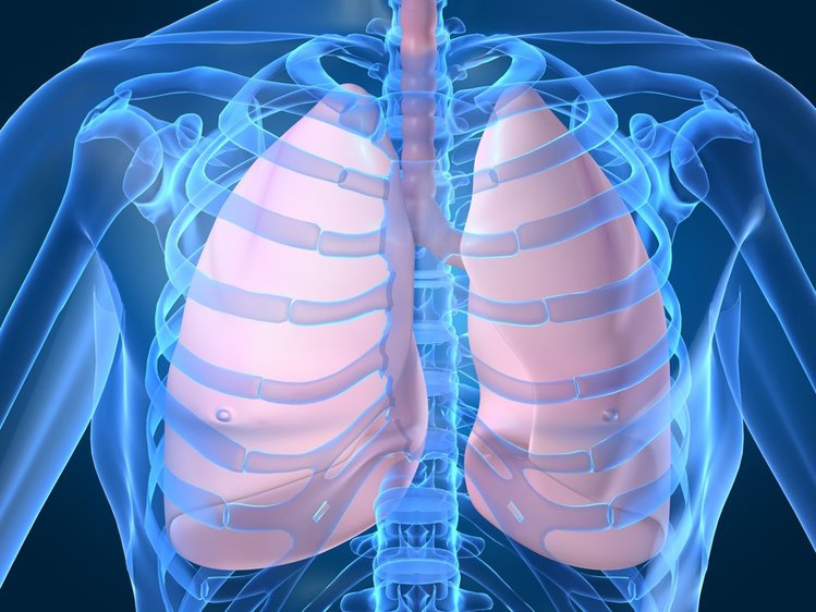 Zdjęcie Oczyść swoje płuca z toksyn! Przepis nie tylko dla palaczy #1