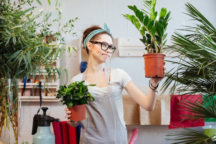 Zdjęcie 5 powodów, przez które rośliny w twoim domu nie rosną i nie kwitną prawidłowo #3