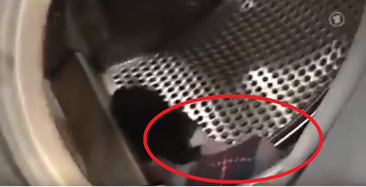 Zdjęcie Dlaczego skarpetki giną w praniu, gdzie wtedy są i jak tego uniknąć? #2