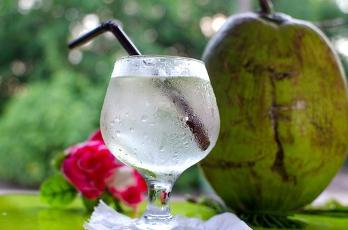 Zdjęcie 5 korzyści płynących z picia wody kokosowej #2
