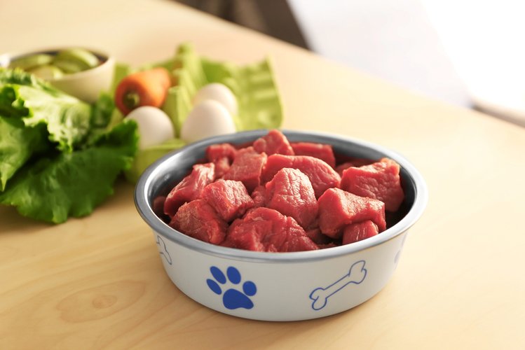 Zdjęcie Sama przygotowujesz jedzenie dla psa? Poznaj 6 najczęstszych błędów! #1