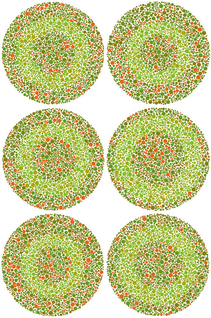 Zdjęcie Jak dobry jest twój wzrok? Rozwiąż test i sprawdź, czy twoje widzenie barw jest prawidłowe #8